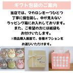 ジェンダーリビール６個セット 10