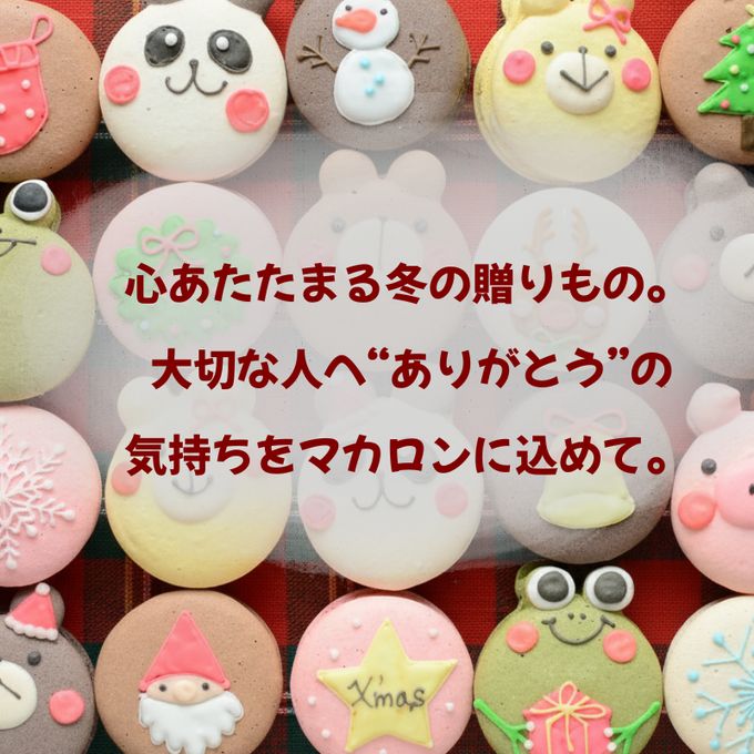 動物マカロン 9個セット 2