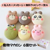 大人気！かわいい動物マカロンギフト 手描きイラスト入りマカロン 6個入り