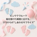 ジェンダーリビール６個セット 3