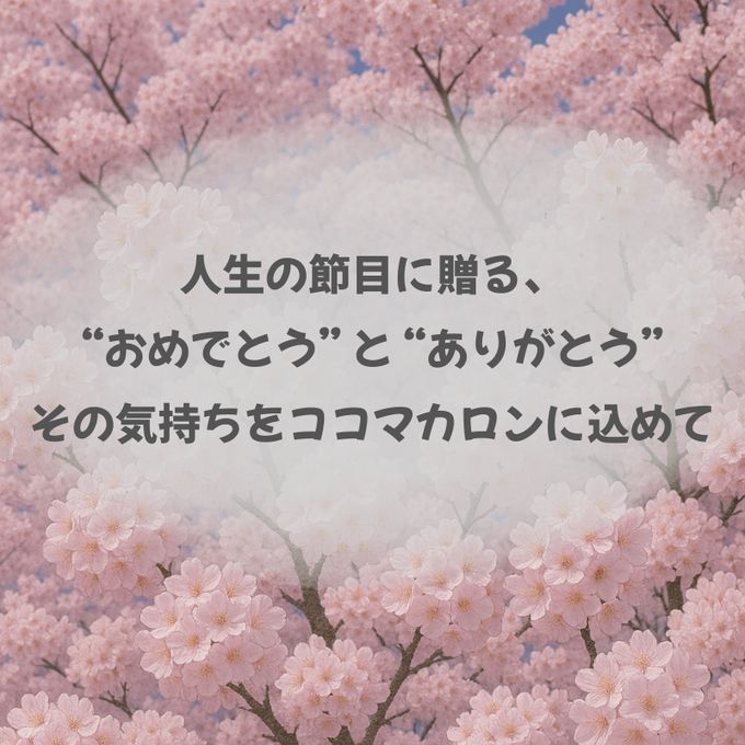 紅白進学祝い（or内祝）６個セット 2