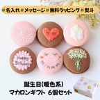（暖色系）お誕生日マカロンギフト 名入れ/メッセージ 手描きイラスト入りマカロン 6個入り 1
