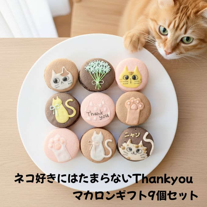ネコ好きにはたまらないマカロンギフト９個セット 1