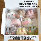 大人気！動物マカロン＋メッセージ入り８個セット 5