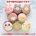 Ｘｍａｓマカロン１０個セット 6