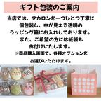 結婚内祝ギフト 熨斗マカロン/メッセージ 手描きイラスト入りマカロン 15個入り 9