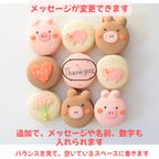 ブタちゃん好きにはたまらないマカロンギフト９個セット 6