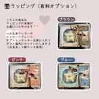 《犬用》あれこれ選べる★ころころフルーツケーキ＜１０cm＞ 9