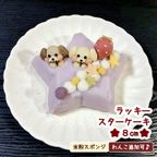 《犬用》ラッキースターケーキ ８cm★米粉スポンジ 1