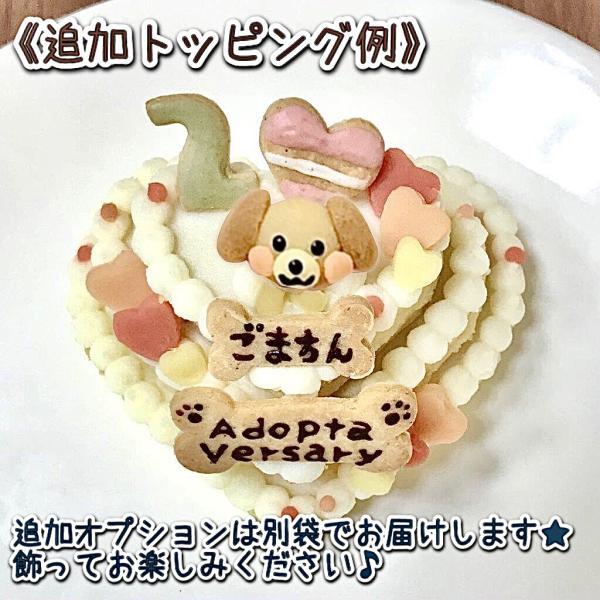 犬服 3S わんこの普段着 いちごケーキ 犬服 3S わんこの普段着 いちご