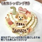 《犬用》選べるわんこの3段ケーキ★米粉スポンジ 7