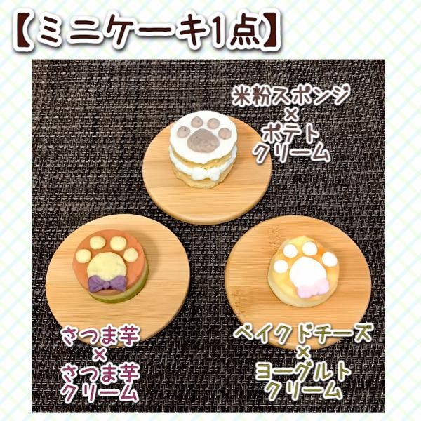 犬用》わんこギフトセット☆選べるごちそう＆ミニケーキギフト（わんこ