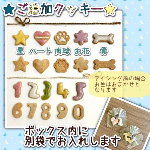 犬用》わんこギフトセット☆選べるごちそう＆ミニケーキギフト（わんこ