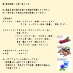 《犬用》わんこの米粉クッキー箱ギフト☆お祝いプレート 7