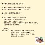 《犬用》わんこのミニクッキー プチギフト２袋～ 4