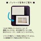 《犬用》わんこの特製ごちそうBOX★セミオーダー 3