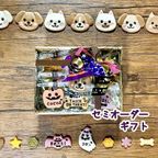 《犬用》選べるわんこのセミオーダークッキーギフト★ハロウィン 1