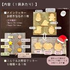 《犬用》わんこ米粉クッキープチギフト5袋inボックスバッグ★クリスマス 2