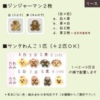 《犬用》わんこクリスマス★リース風ケーキ★米粉スポンジ 4