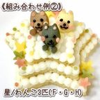 《犬用》選べるわんこの3段ケーキ★米粉スポンジ 6