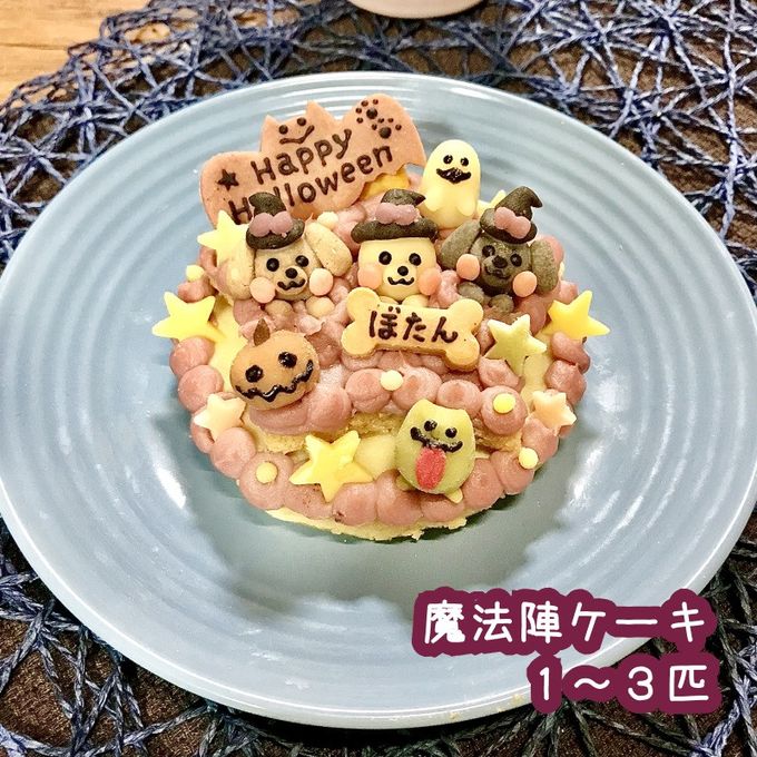 《犬用》わんこハロウィン★魔法陣ケーキ★米粉スポンジ 1