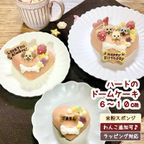 《犬用》ハートのドームケーキ 6cm～☆米粉スポンジ 1