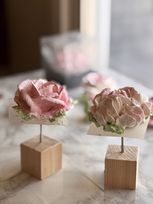 フレッシュマシュマロフラワー 