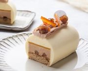 【AND CAKE】モンブラン 18.5cm / 4～5名用  2