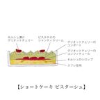 【AND CAKE】ノエル ショートケーキ アソート クリスマス2024 4