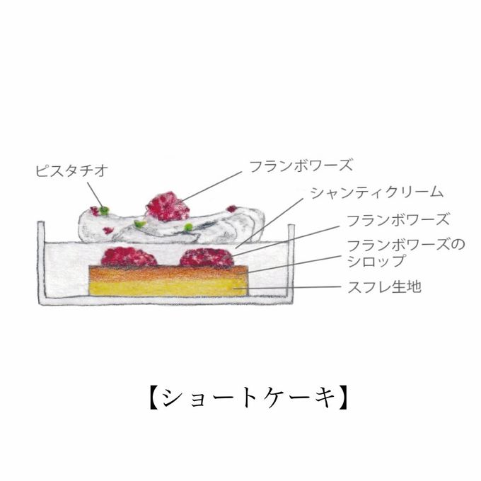 【AND CAKE】ノエル ショートケーキ アソート クリスマス2026 2