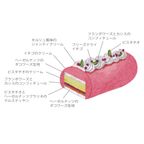 【AND CAKE】ノエル フレーズ ピスターシュ 6
