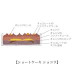 【AND CAKE】ノエル ショートケーキ アソート クリスマス2024 3