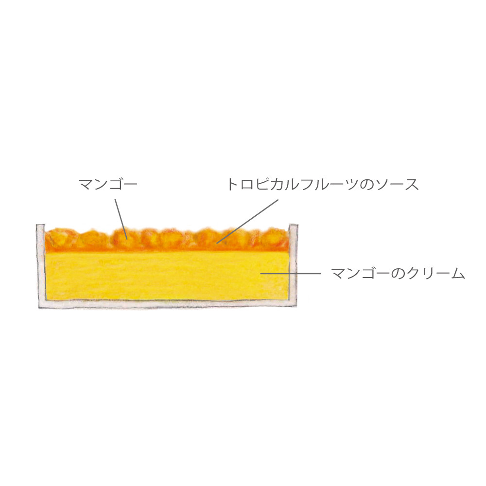 【AND CAKE】ショートケーキ&マンゴープリン 4P 5