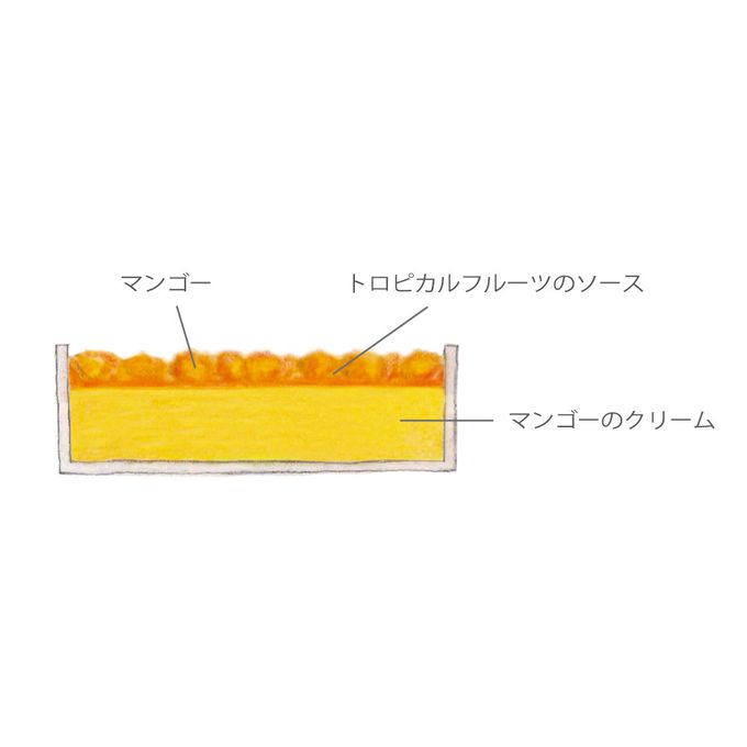 【AND CAKE】マンゴープリン 4P  3