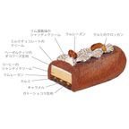 【AND CAKE】ノエル ショコラ カフェ 18.5cm / 4～5名用  3