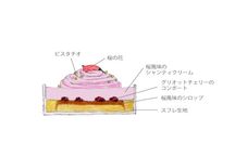 【AND CAKE】ショートケーキ 桜 4P Cake.jp限定  母の日2024 5