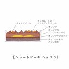 【AND CAKE】ノエル ショートケーキ アソート クリスマス2026 3