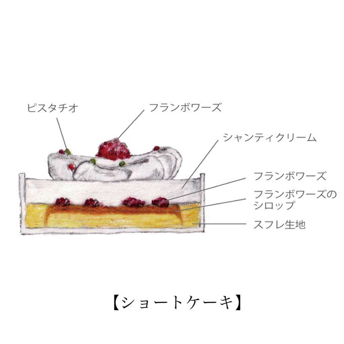 【AND CAKE】ノエル ショートケーキ アソート クリスマス2024 2