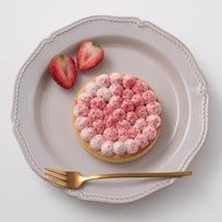 ～可愛い缶入りスイーツ～あまおう苺のベリーチーズケーキタルト（化粧箱入り）  