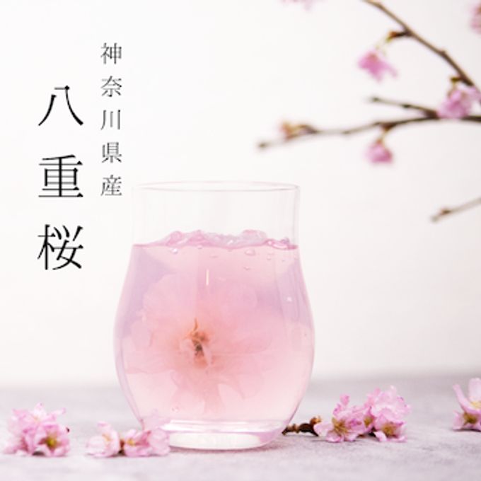 ベジターレ 桜ゼリー３個セット（化粧箱入り）  3