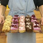 全種類お試しビスケット ７個入り ※着色料不使用 1