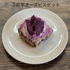全種類お試しビスケット ７個入り ※着色料不使用 4