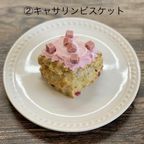 全種類お試しビスケット ７個入り ※着色料不使用 3