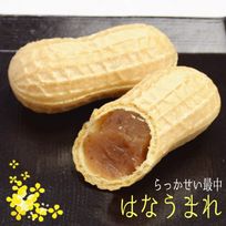 らっかせい最中「はなうまれ」 10個