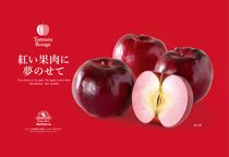 送料無料・紅の夢りんごチップス6箱【数量限定】 5