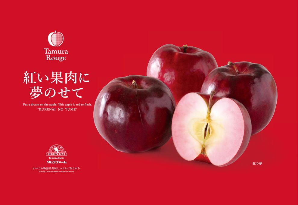 送料無料・紅の夢りんごチップス6箱【数量限定】 5