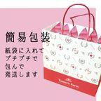 送料無料・紅の夢りんごチップス6箱【数量限定】 4