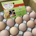 【大人気！こだわりの 極みプリン】名古屋コーチン 、絶品！！ とろ～りプリン ６個入り   2026 父の日2026 5