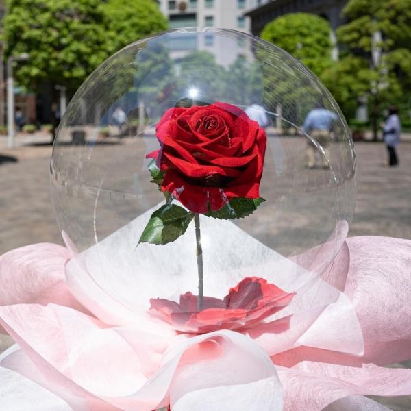 手持ちブーケ アクアバルーン ローズ（ORYZAE Celebrations） | Cake.jp