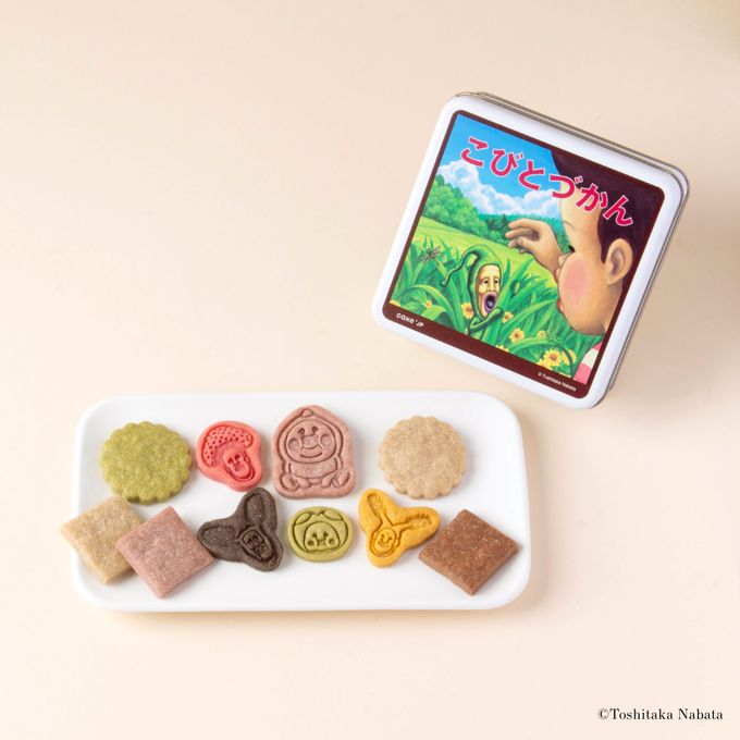 『こびとづかん』クッキー缶 6